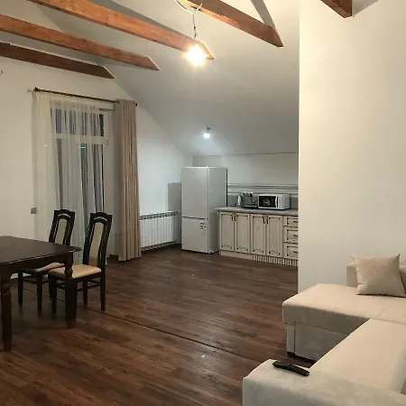 Cozy Guest house Truskavets